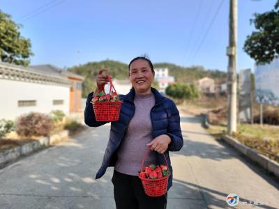 张晓明：为种植业插上科技翅膀