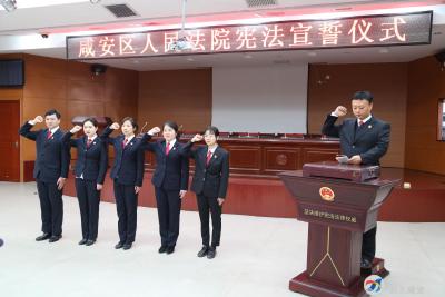 咸安区法院举行宪法宣誓仪式