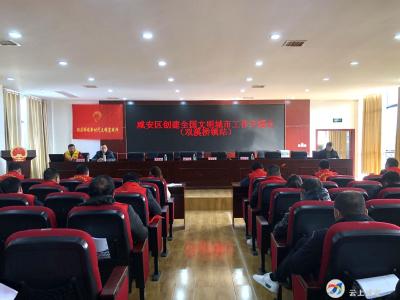 双溪桥镇开展创建全国文明城市工作专题培训会