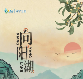 咸宁之美 || 邂逅向阳湖