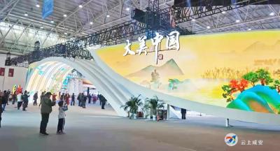 国家级非物质文化遗产“镇氏风湿病马钱子疗法”亮相首届中国(武汉)文化旅游博览会