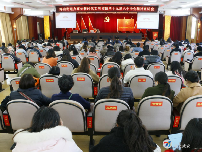 咸安区志愿服务总队十九届六中全会精神宣讲走进浮山