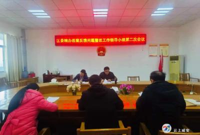 坚持问题导向  从严从实抓整改 ——区委编办扎实推进巡察反馈问题整改工作 