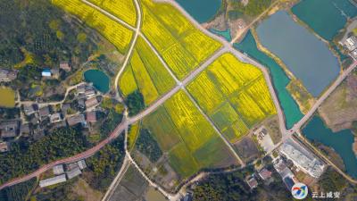 喜报，咸安这个乡镇获省级表彰！