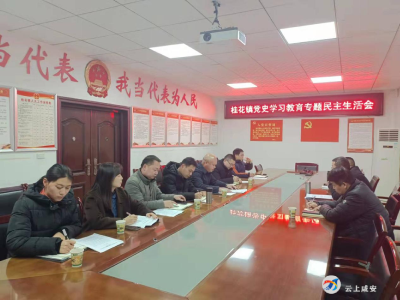 桂花镇召开党史学习教育专题民主生活会