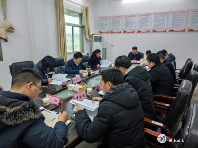 双溪桥镇召开党史学习教育专题民主生活会