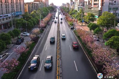 【大美咸安】城区风景道