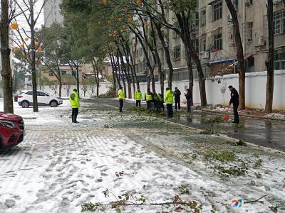 青龙社区：铲雪除冰，我们在行动