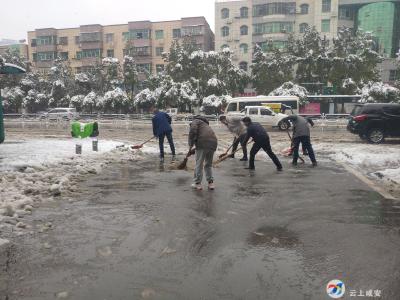 区审计局：全体干部齐出力 清扫积雪干劲足