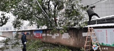 区司法局关于开展扫雪除冰行动