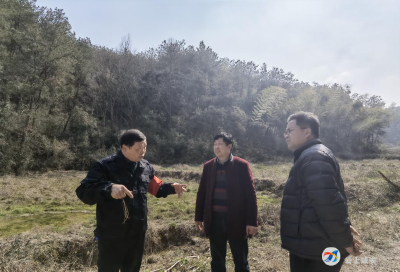 大幕乡：落实护林督查   推进林长“治”
