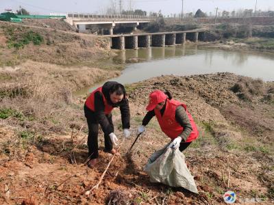 奶牛场：农村人居环境整治 人人有责