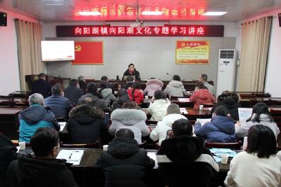 向阳湖镇举办向阳湖文化专题学习讲座