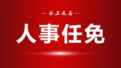 咸宁市人民代表大会常务委员会任免名单