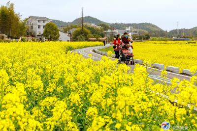 【大美咸安】踏春