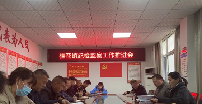 桂花镇积极推进纪检监察工作