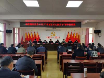 高桥镇召开专题会议深刻汲取“丰县生育八孩女子”事件教训