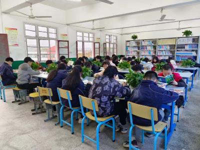 高桥学校：聚焦主责主业 落实立德树人