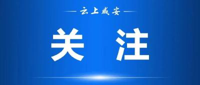 @找工作的你 今年这些活动别错过！