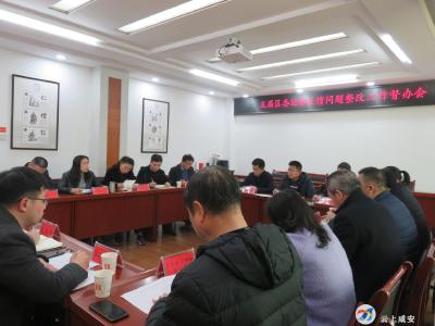 咸安：“三位一体”督办推动巡察整改问题“见底清零”