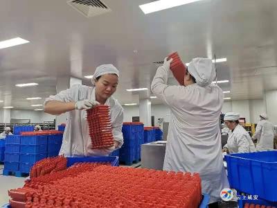 把“问题清单”变“服务清单”！咸安遍访企业解难题