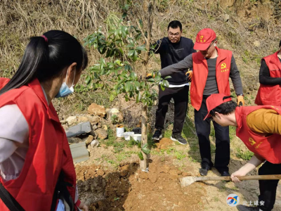 区公共检验检测中心开展“植桂添香”活动