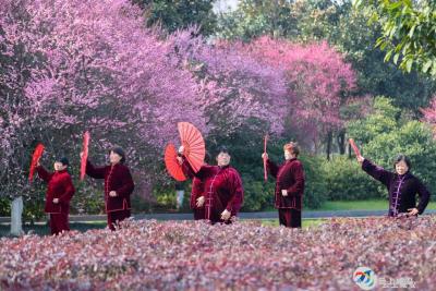 【大美咸安】踏春赏花正当时