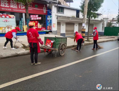 马桥镇：爱国卫生人人参与 美丽家园共同建设