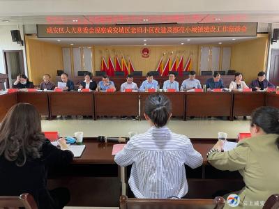 咸安区人大常委会视察城区老旧小区改造和擦亮小城镇建设工作