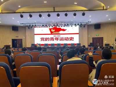 咸安区各级团组织开展