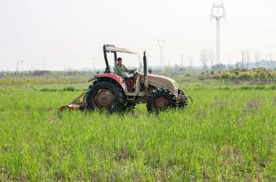 【学习强国】湖北咸安：农机声声忙翻耕