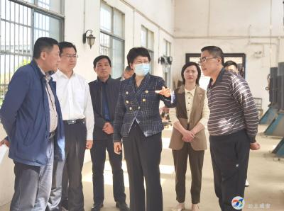 省防办检查组来咸安检查防汛抗旱准备工作