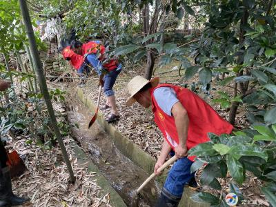 贺胜桥镇桃林村积极开展清淤行动
