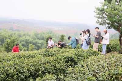 网络名人咸宁行——走进乡村看小康