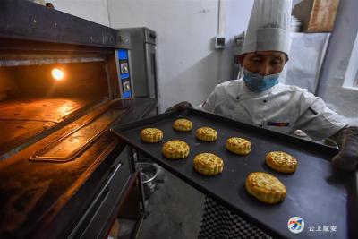 中国桂花城之歌