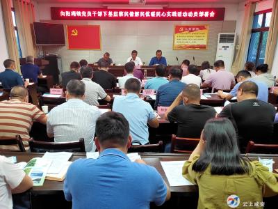 向阳湖镇召开党员干部下基层察民情解民忧暖民心实践活动动员部署会