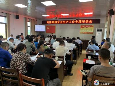 向阳湖镇举办安全生产工作专题培训会