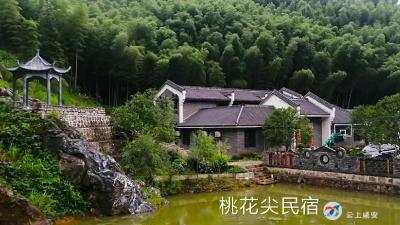 乡贤报乡情 聚力促振兴