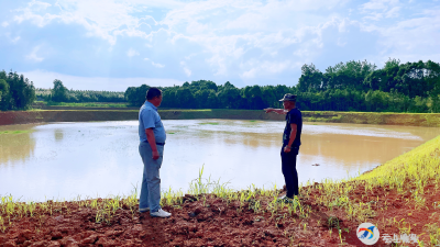 贺胜桥镇：组里有了新“管家”