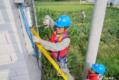 160亩旱地变良田！“跑山电工”解民忧