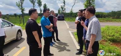 区委政研室调研乡村振兴示范点