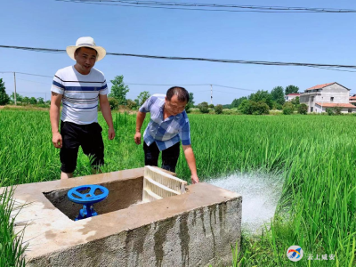 双溪桥镇：抗旱保田解民忧