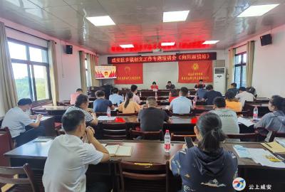 向阳湖镇举办创文专题培训会