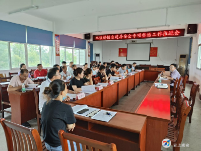 双溪桥镇召开自建房安全专项整治工作推进会