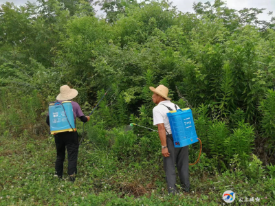 贺胜桥镇滨湖村：群众无小事  为民见初心