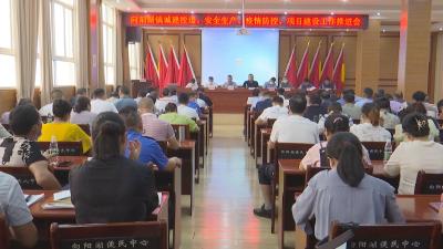 再上台阶！ 向阳湖镇精心部署第三季度重点工作