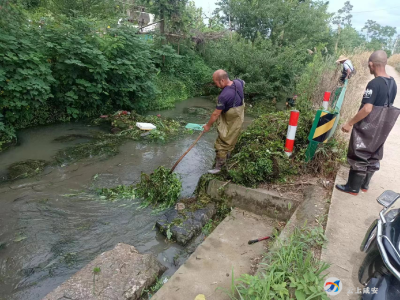 汀泗桥镇开展河道清理志愿行动