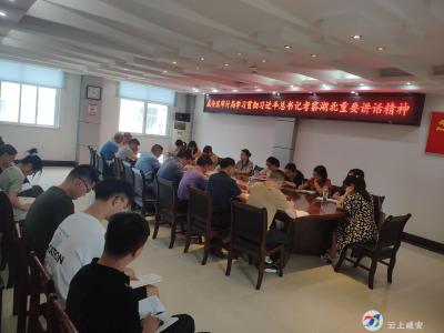 区审计局学习贯彻习近平总书记考察湖北重要讲话精神