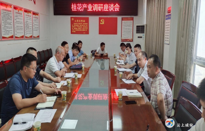 桂花镇：金融搭台，发展桂花产业