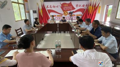 顾兴旺在双溪桥镇调研时强调  发动老百姓 实现共谋共建共治共享 培育新业态 持续壮大村级集体经济